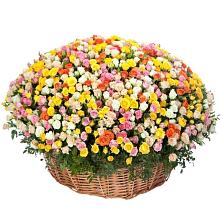 Премиум букет из: Розы #REPLACE_PRED# Свободе