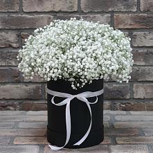Цветочная композиция из Гипсофила в шляпной коробке #REPLACE_PRED# Свободе