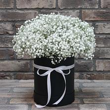 Цветочная композиция из Гипсофила в шляпной коробке в Свободе
